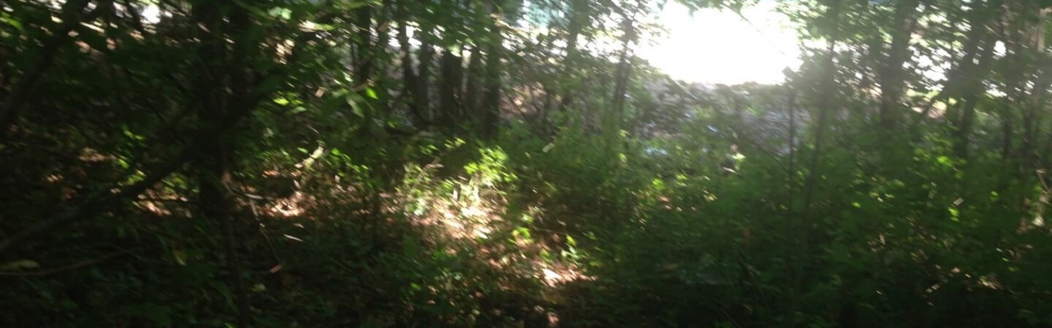 LACUTE LAKE (25)